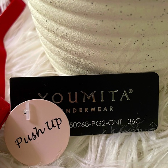 Youmita Garnet Plunge Cage Front Push Up 36C Bra - Picture 2 of 3